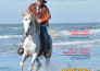 design catalog, magazine and any project with adobe indesign